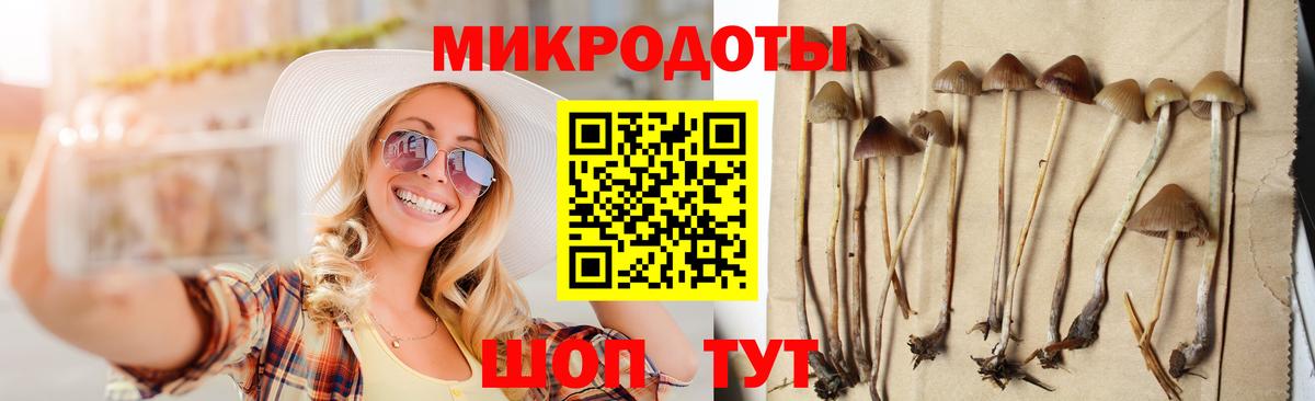 Рославль  Псилоцибиновые грибы Magic Shrooms  Галлюциногенные грибы Cubensis  Вход с VPN 